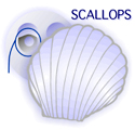 scallops-logo